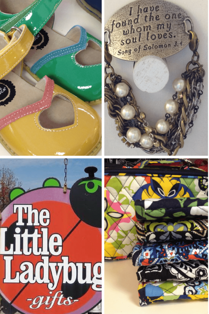 Shop Local: The Little Ladybug