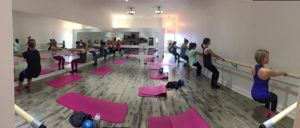 Pink Barre Lake Lanier